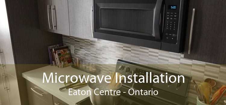 Microwave Installation Eaton Centre - Ontario