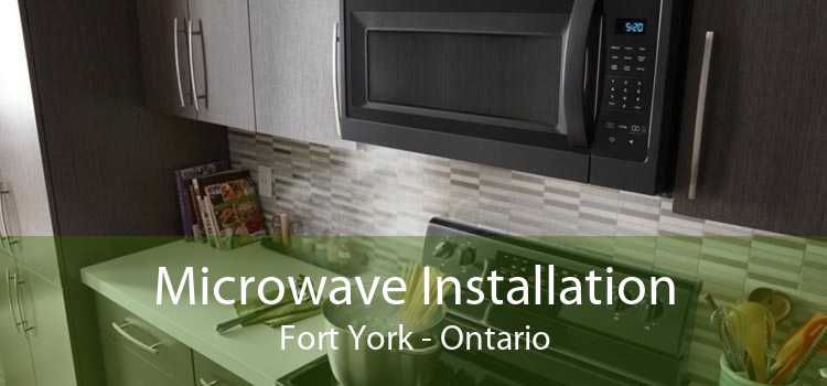 Microwave Installation Fort York - Ontario