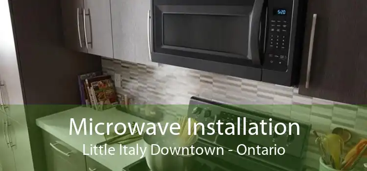Microwave Installation Little Italy Downtown - Ontario