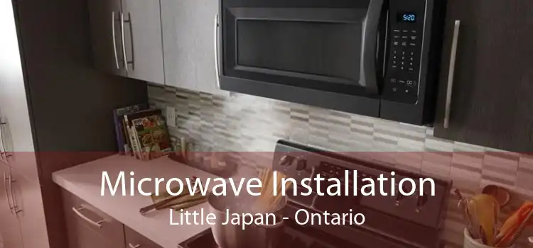 Microwave Installation Little Japan - Ontario