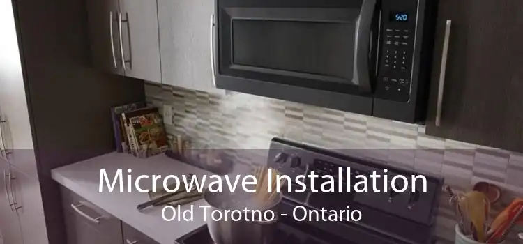 Microwave Installation Old Torotno - Ontario
