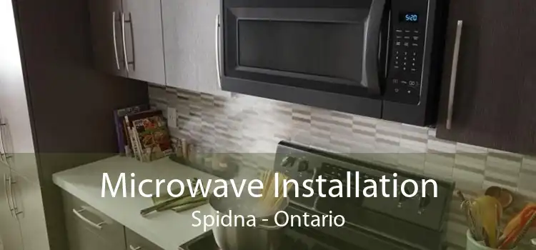 Microwave Installation Spidna - Ontario