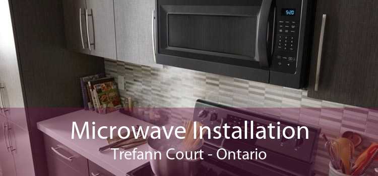Microwave Installation Trefann Court - Ontario