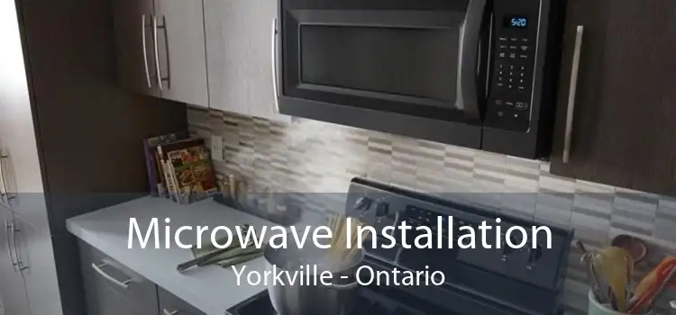 Microwave Installation Yorkville - Ontario
