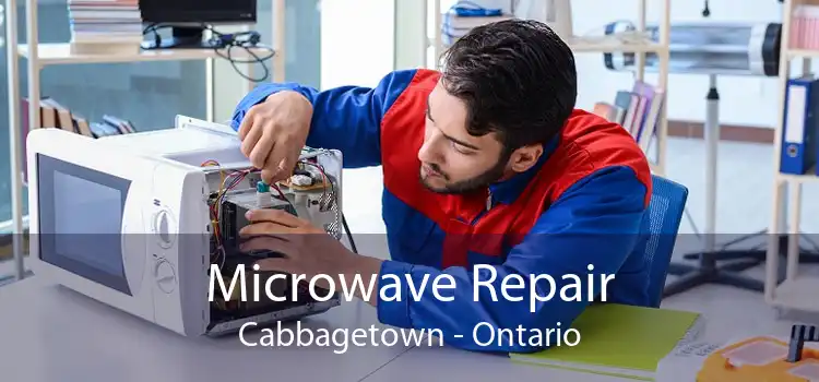 Microwave Repair Cabbagetown - Ontario