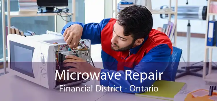 Microwave Repair Financial District - Ontario