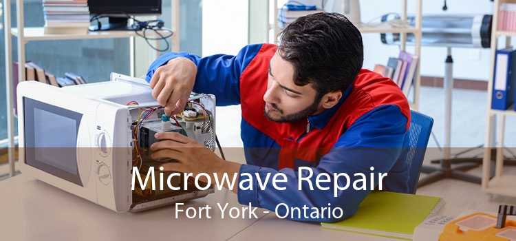 Microwave Repair Fort York - Ontario