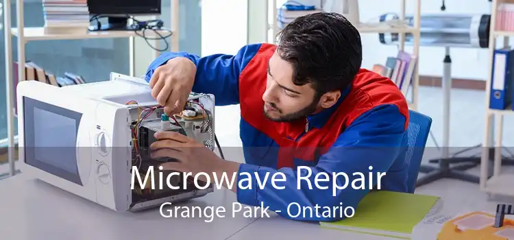 Microwave Repair Grange Park - Ontario