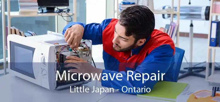 Microwave Repair Little Japan - Ontario