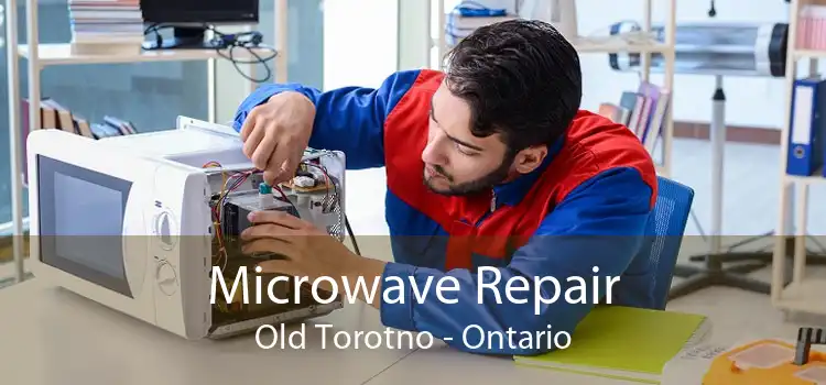 Microwave Repair Old Torotno - Ontario