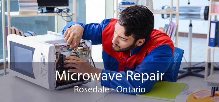 Microwave Repair Rosedale - Ontario