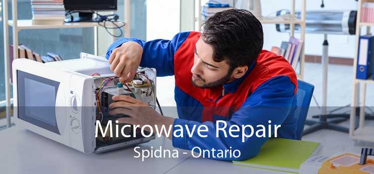 Microwave Repair Spidna - Ontario