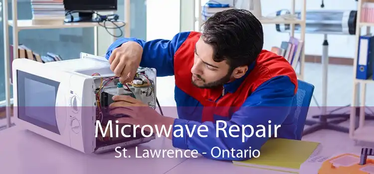 Microwave Repair St. Lawrence - Ontario