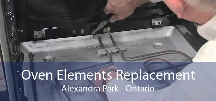 Oven Elements Replacement Alexandra Park - Ontario