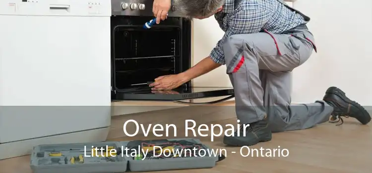 Oven Repair Little Italy Downtown - Ontario