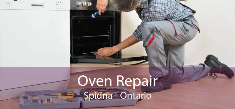 Oven Repair Spidna - Ontario