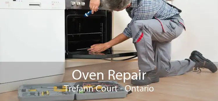 Oven Repair Trefann Court - Ontario