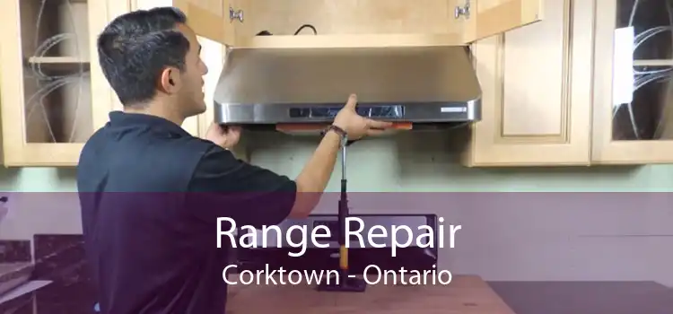 Range Repair Corktown - Ontario