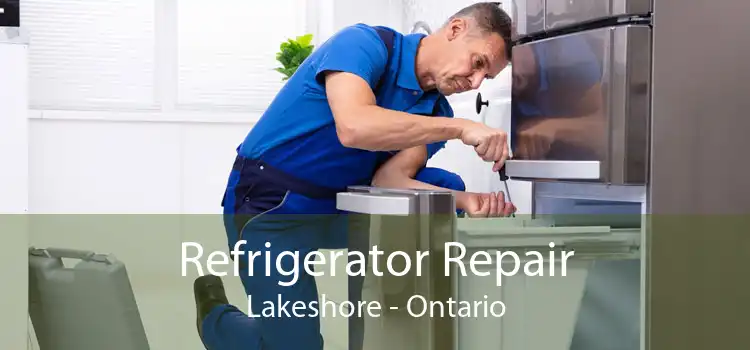 Refrigerator Repair Lakeshore - Ontario