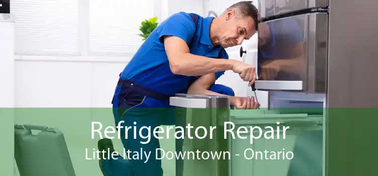 Refrigerator Repair Little Italy Downtown - Ontario