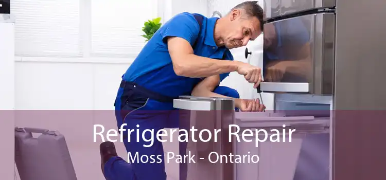 Refrigerator Repair Moss Park - Ontario