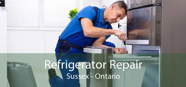 Refrigerator Repair Sussex - Ontario