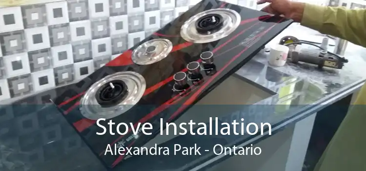 Stove Installation Alexandra Park - Ontario