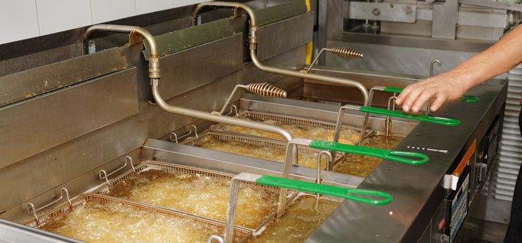 Commercial Fryer Repair in Little Japan